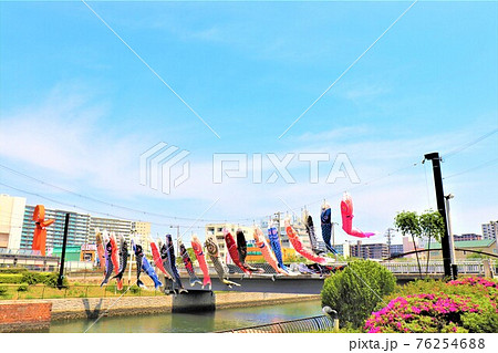 南海本線堺駅・堺駅南歩道橋の鯉のぼり 76254688