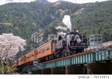 大井川鐵道SLさくら号家山駅付近 76254853