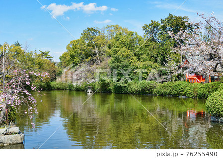 京都　神泉苑 の法成就池 76255490