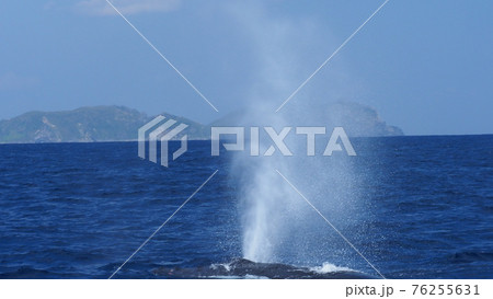 クジラのブロー 76255631