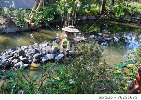 京都 神泉苑 の心鏡の池 京都 神泉苑 の心鏡の池 76255635