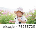 Young little cute asian girl playing in cosmos flower field in spring or summer season. 76255725
