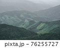 Panoramic landscape picture of fresh green rain forest and mountain background. 76255727