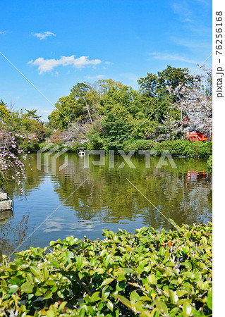 京都　神泉苑 の法成就池 76256168