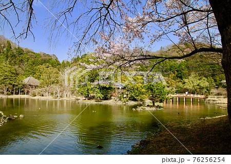 春の水阿弥陀堂(福島県・いわき市) 春の水阿弥陀堂(福島県・いわき市) 76256254