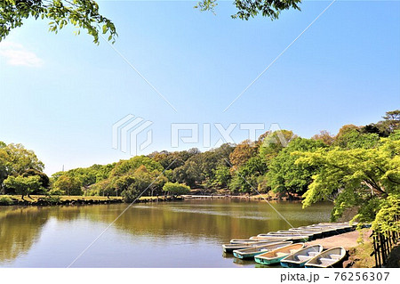 奈良公園・浮見堂 奈良公園・浮見堂 76256307