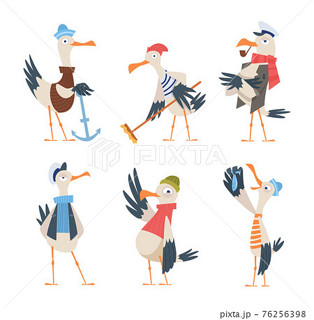 Seagull sailor. Cute funny sea or ocean bird in captain clothes exact vector character in action poses isolated Seagull sailor. Cute funny sea or ocean bird in captain clothes exact vector character in action poses isolated 76256398