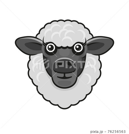 Cute Sheep Face on White Background. Vector Cute Sheep Face on White Background. Vector 76256563