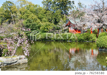 京都　神泉苑 の法成就池 76256580