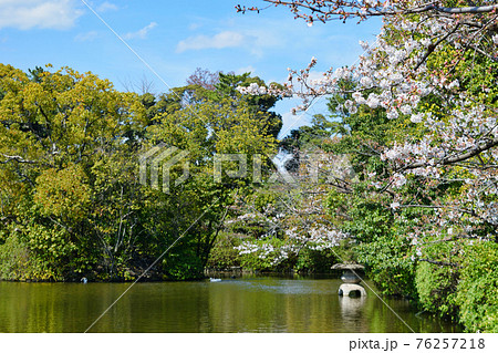 京都　神泉苑 の法成就池 76257218