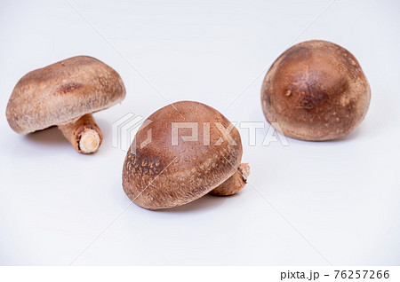 厳選された最高峰の生しいたけ「のとてまり」のブツ撮り写真 厳選された最高峰の生しいたけ「のとてまり」のブツ撮り写真 76257266