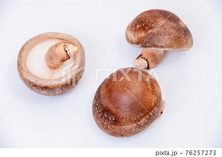 厳選された最高峰の生しいたけ「のとてまり」のブツ撮り写真 76257273