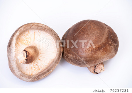 厳選された最高峰の生しいたけ「のとてまり」のブツ撮り写真 76257281