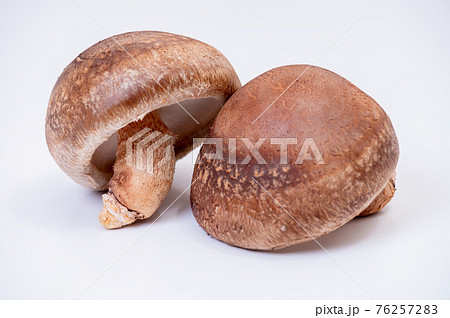 厳選された最高峰の生しいたけ「のとてまり」のブツ撮り写真 厳選された最高峰の生しいたけ「のとてまり」のブツ撮り写真 76257283