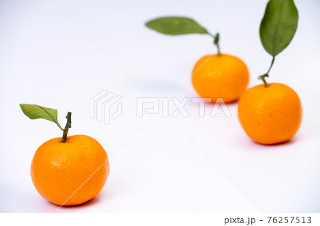 葉っぱ付きみかんのブツ撮り写真/背景白 葉っぱ付きみかんのブツ撮り写真/背景白 76257513