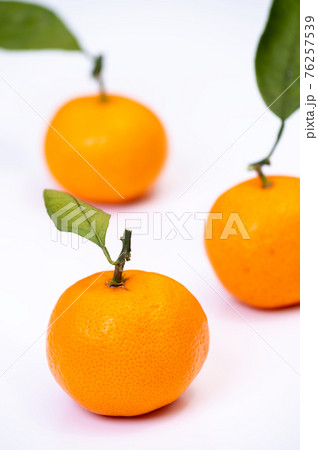 葉っぱ付きみかんのブツ撮り写真/背景白 葉っぱ付きみかんのブツ撮り写真/背景白 76257539