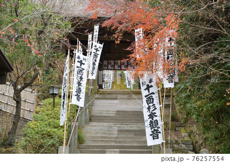 杉本寺の苔の階段 76257554