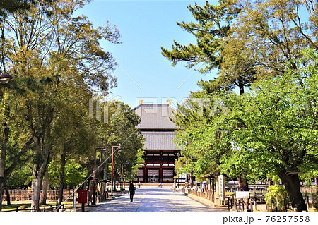奈良公園・東大寺 76257558