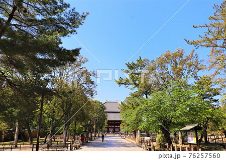 奈良公園・東大寺 76257560