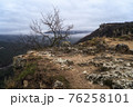 Lone small tree grow at the edge of cliff. Force of life. Strong plant fighting for its future 76258101