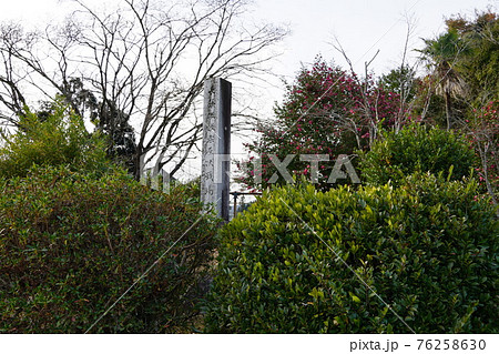 長篠の戦い　古戦場　徳川家康　本陣の碑 76258630