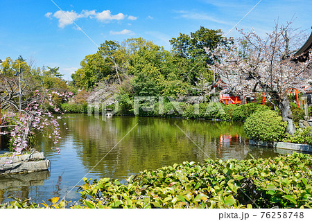 京都 神泉苑 の法成就池 京都 神泉苑 の法成就池 76258748