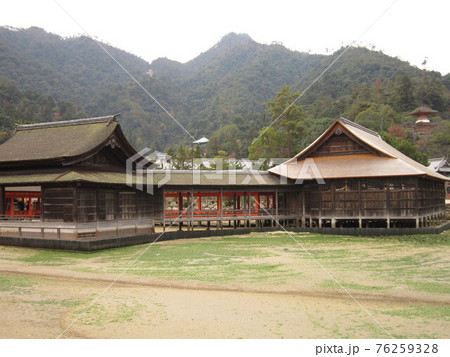 引き潮の厳島神社 76259328