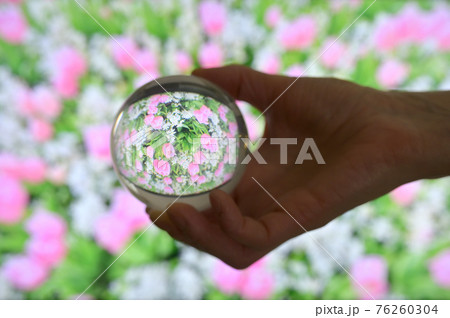 A Glass Lens ball and Field of tulips A Glass Lens ball and Field of tulips 76260304