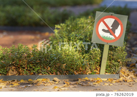 Do not walk on the lawn against the backdrop of sunlight. Do not walk on the lawn against the backdrop of sunlight. 76262019
