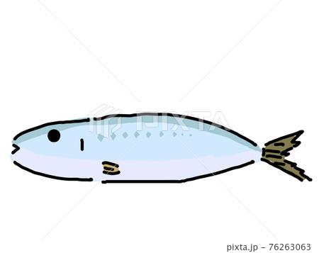 イワシのイラスト素材