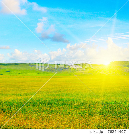 Wheat field and countryside scenery. Hilly terrain. 76264407