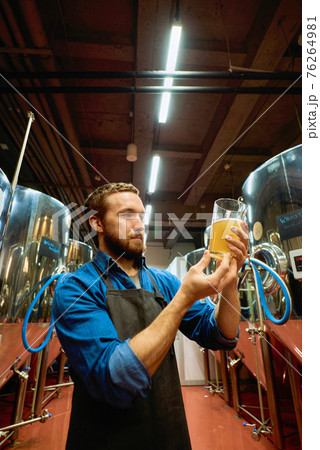 Young serious male brewer with glass of beer evaluating its visual characteristics after preparation Young serious male brewer with glass of beer evaluating its visual characteristics after preparation 76264981