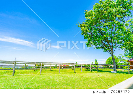 青空と新緑と芝生　【愛知県】 76267479
