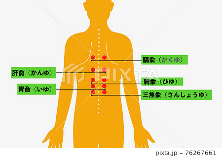 背中のツボ 背中のツボ 76267661