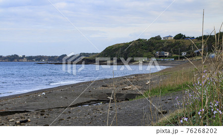 湘南三浦半島の神奈川県三浦市の海岸 76268202