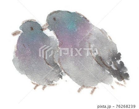 土鳩のカップルの水彩イラスト 76268239