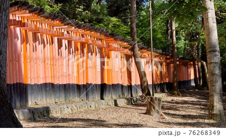 cooljapanimage・千本鳥居・日本の神社イメージ・朱色の線・信仰の形 cooljapanimage・千本鳥居・日本の神社イメージ・朱色の線・信仰の形 76268349