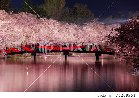 弘前公園の赤い橋と夜桜の絶景 弘前公園の赤い橋と夜桜の絶景 76269551