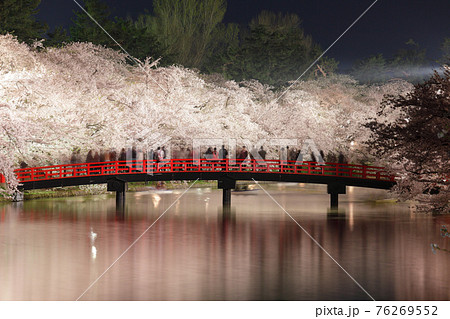 弘前公園の赤い橋と夜桜の絶景 弘前公園の赤い橋と夜桜の絶景 76269552