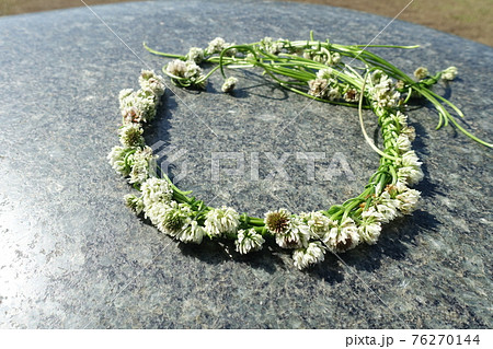 シロツメクサの花輪　花冠　リース 76270144