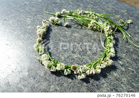 シロツメクサの花輪 花冠 リース シロツメクサの花輪 花冠 リース 76270146