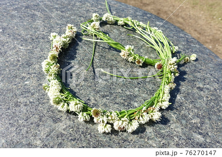 シロツメクサの花輪 花冠 リース シロツメクサの花輪 花冠 リース 76270147