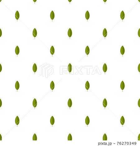 Hornbeam leaf pattern seamless Hornbeam leaf pattern seamless 76270349