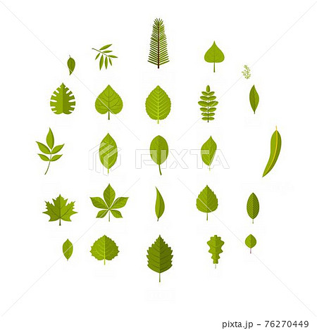 Leaf icons set, flat style Leaf icons set, flat style 76270449