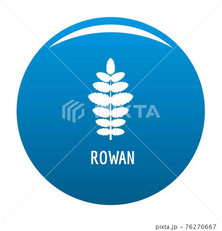 Rowan leaf icon blue vector 76270667