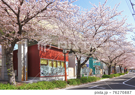 名古屋市北区 SAKUMACHI商店街 名古屋市北区 SAKUMACHI商店街 76270887