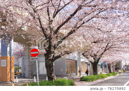 名古屋市北区　SAKUMACHI商店街 76270892