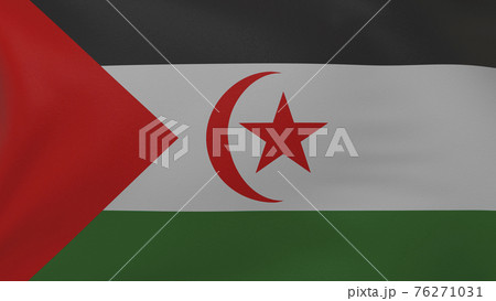 Sahrawi Arab Democratic Republic flag texture Sahrawi Arab Democratic Republic flag texture 76271031