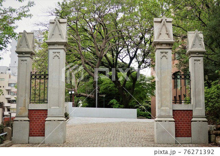 慶應義塾大学 76271392
