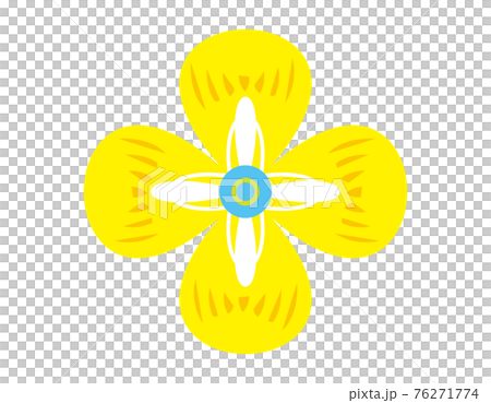Scandinavian flower vector illustration 76271774